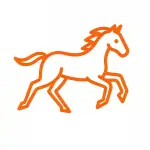 Paarden