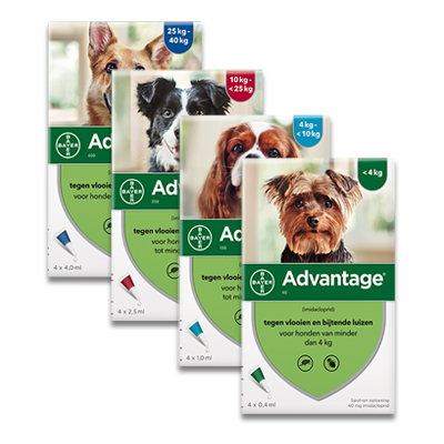 Wizard Perioperatieve periode Kikker Advantage hond | Bestellen | Tegen vlooien en teken - Nu vanaf €20.55 |  Petcure.nl