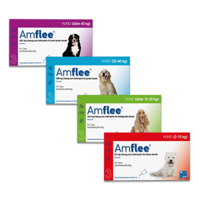 Amflee Spot-on dog