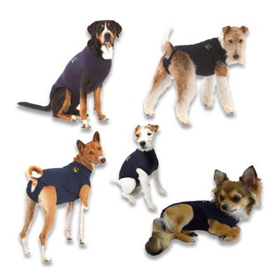 medical pet shirt xl