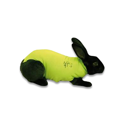 Medical Pet Shirt Rabbit