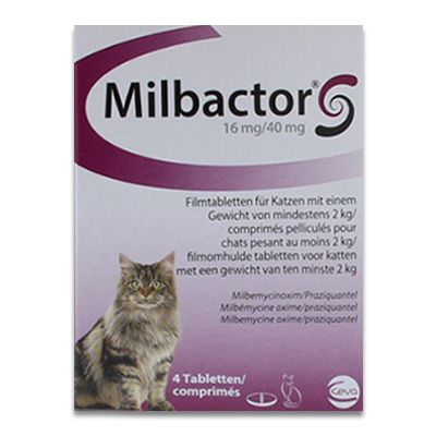 Milbactor Katze