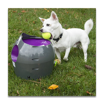 petsafe ball launcher