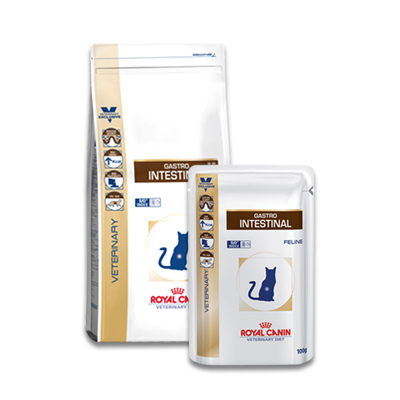 royal canin intestinal kat