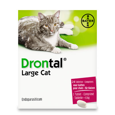 drontal cat 24 tabletten