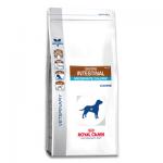 Royal Canin Gastrointestinal Moderate Calorie Hond -  2 kg | Petcure.nl