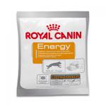 Royal Canin Energy Beloningssnack - 10 x 50 g