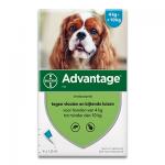 Advantage 100 (Hund 4 - 10 kg) - 4 Pipetten (EU)