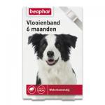 Beaphar Vlooienband (6mnd) Hond - Wit